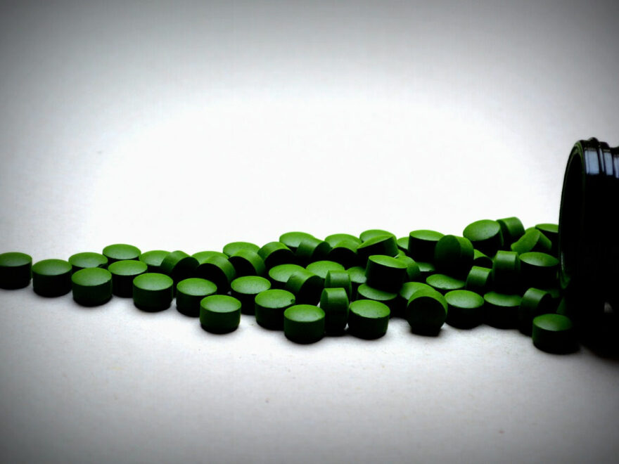 Chlorella in Tablettenform